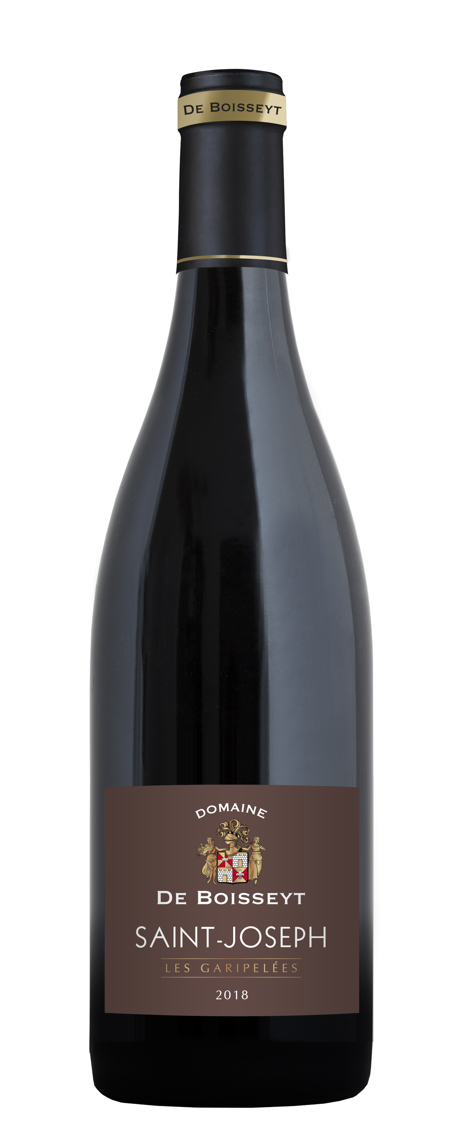 AOC-DOM-saint-joseph-garipelees-bouteille-2018